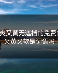 又色又爽又黄无遮挡的免费的软件，又黄又软是词语吗