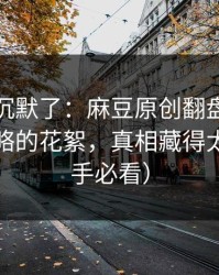 看完我沉默了：麻豆原创翻盘了｜最容易忽略的花絮，真相藏得太深（新手必看）