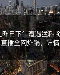 神秘人在昨日下午遭遇猛料 欲言又止，魅影直播全网炸锅，详情直击