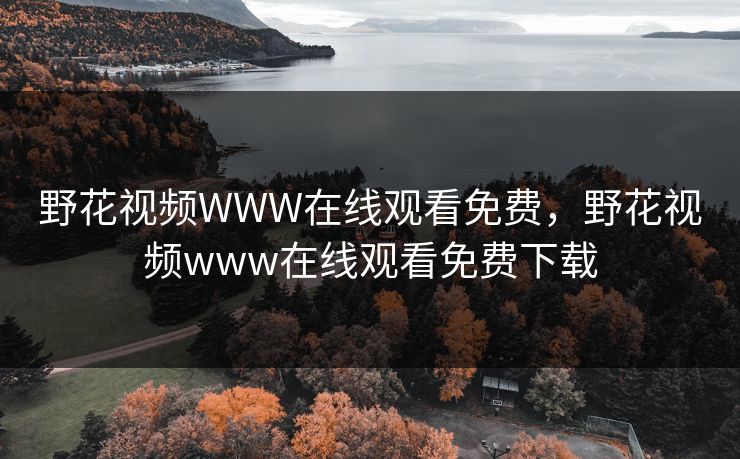 野花视频WWW在线观看免费，野花视频www在线观看免费下载