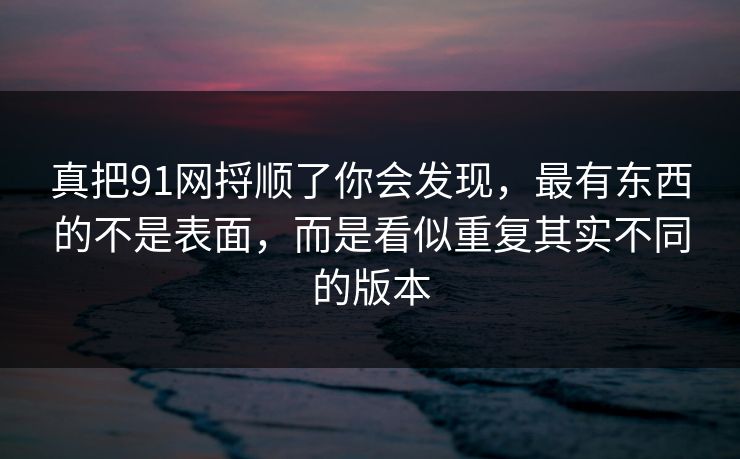 真把91网捋顺了你会发现，最有东西的不是表面，而是看似重复其实不同的版本